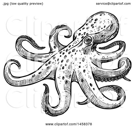 octopus clipart black and white|realistic octopus clip art.